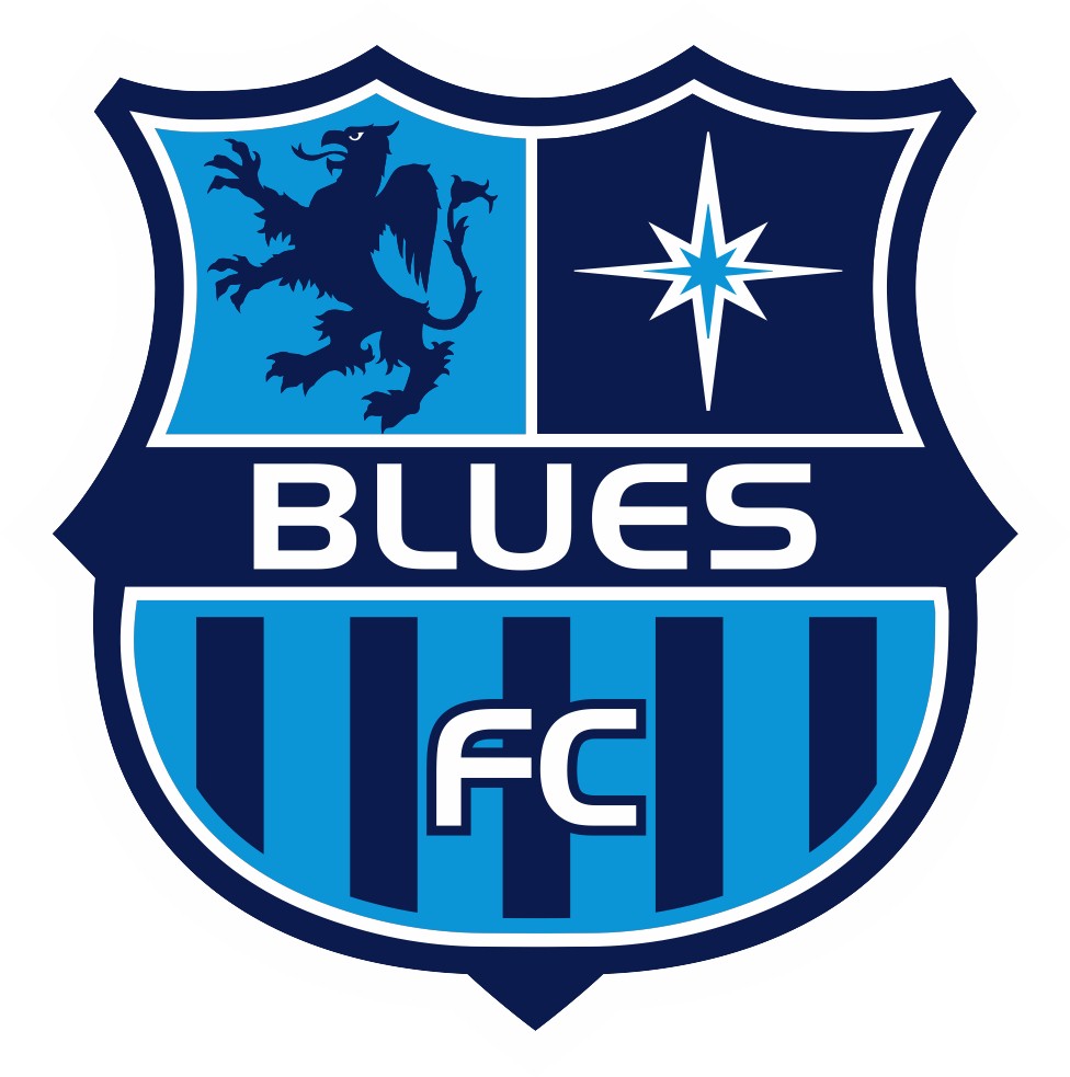 Image result for blues fc soccer