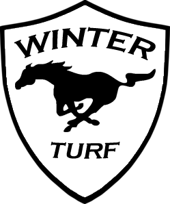 Event Logo